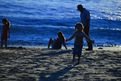 DSC_1225 (Large).JPG